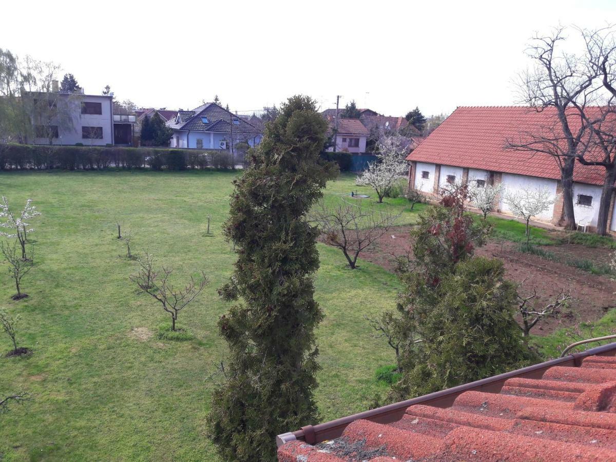 Villa Kysucka Senec Exterior foto